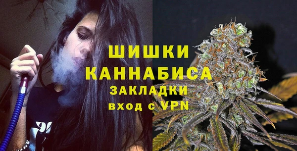 дмт Кодинск