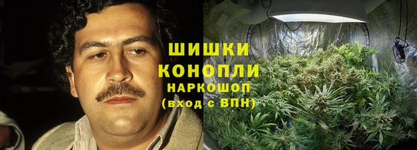 дмт Кодинск