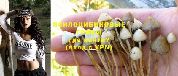кокаин премиум Краснослободск