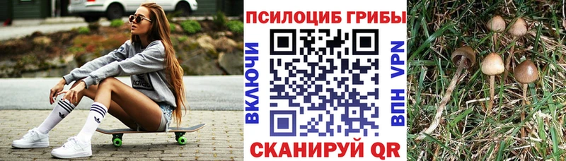 Галлюциногенные грибы ЛСД  магазин продажи наркотиков  Валуйки 