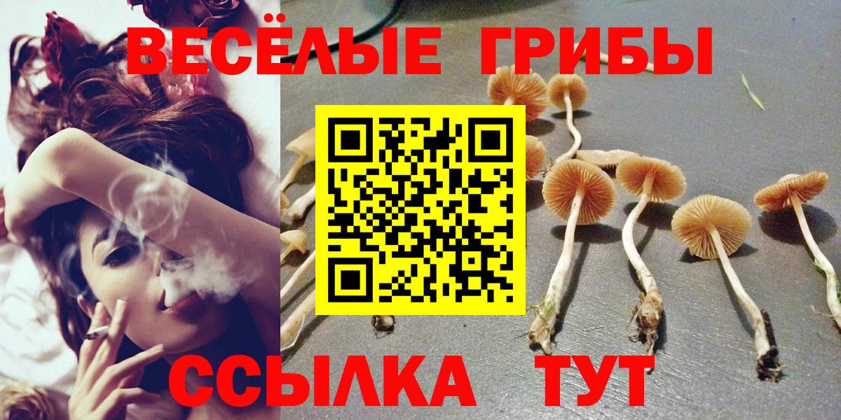Галлюциногенные грибы Magic Shrooms Валуйки